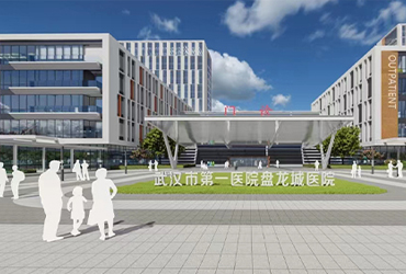 武汉市第一医院盘龙城医院